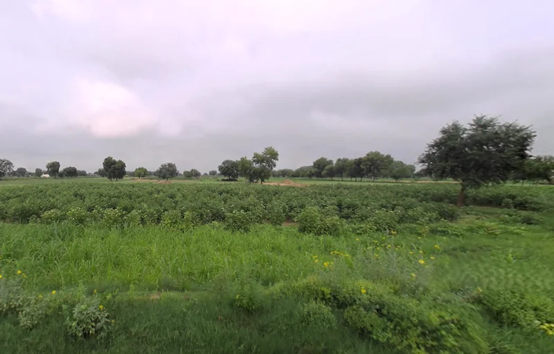 Hisar, Haryana, India preview 2