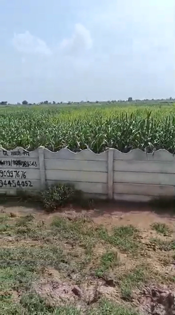 F6XG+V9 Hayatpur, Deeg, Rajasthan, India