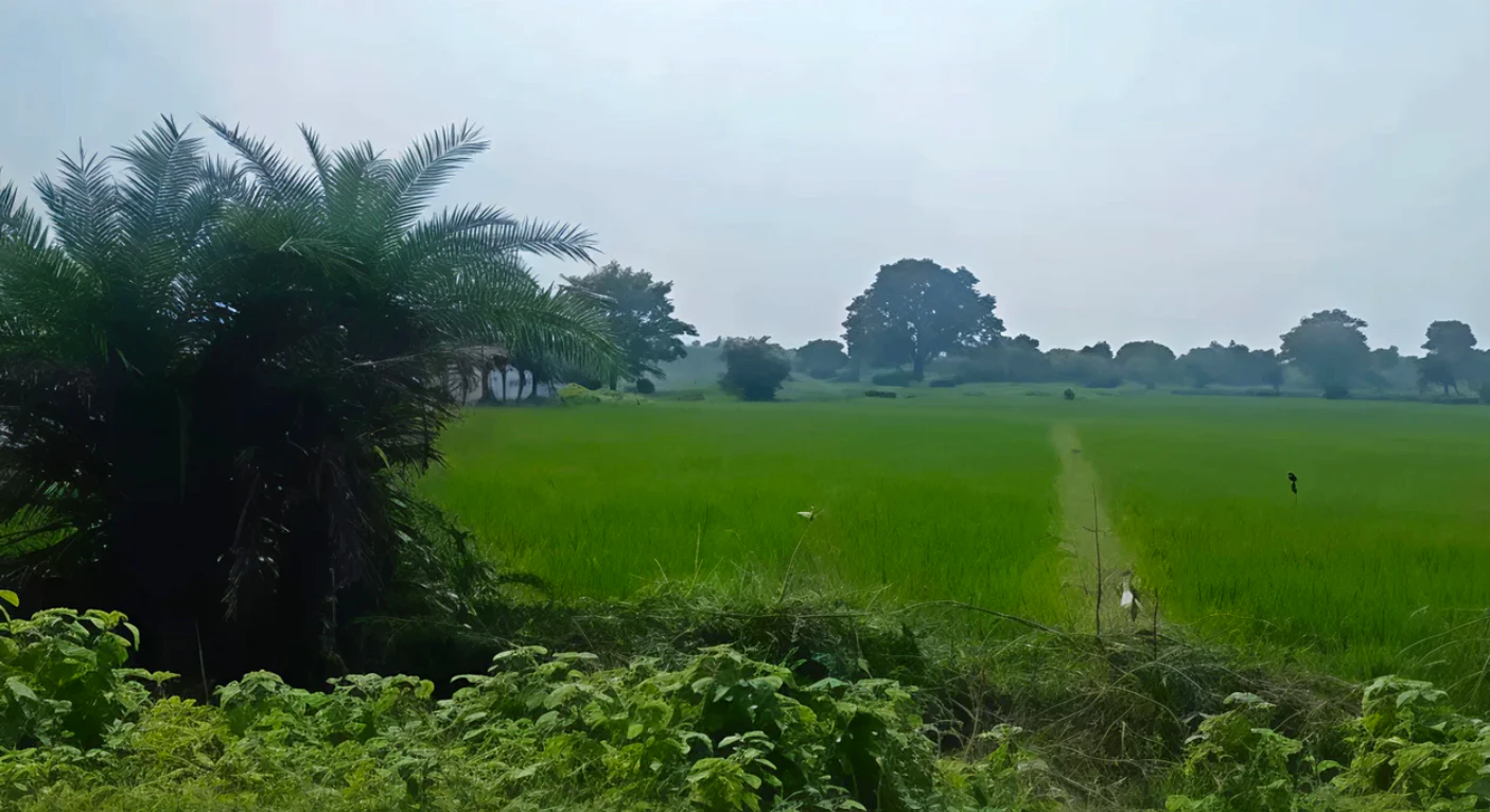Maurawan, Uttar Pradesh, India
