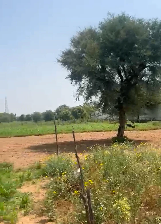 WM64+8V, Bhilwara, Gulabpura, Rajasthan 311021, India