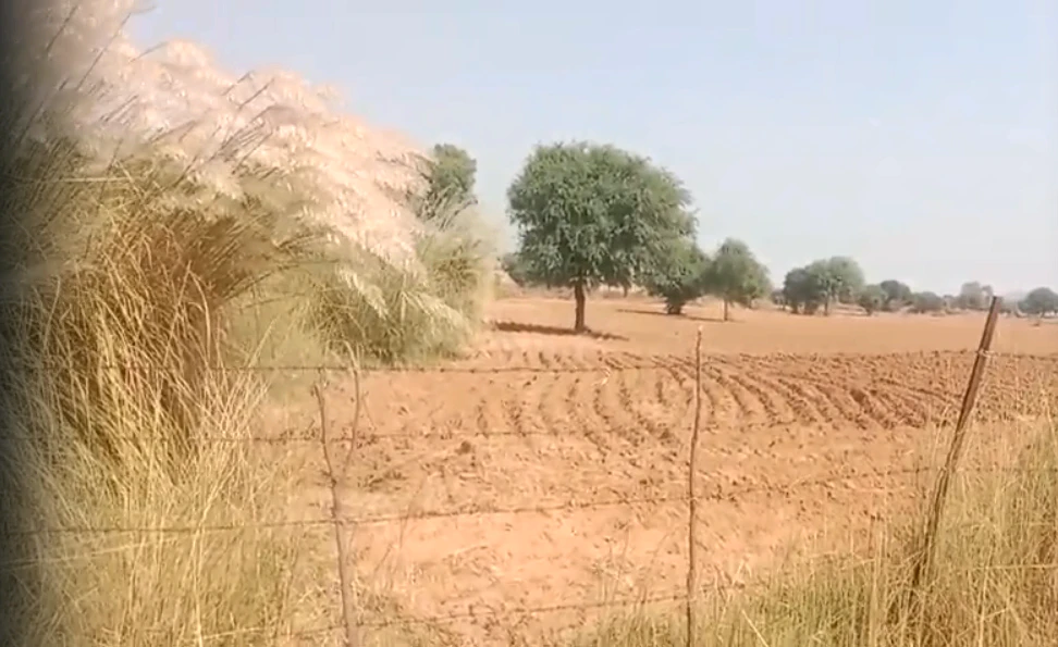 WXH6+G7 Bamanwasnau, Mahendragarh, Haryana, India