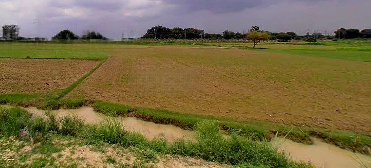 Barsana, Uttar Pradesh 281405, India