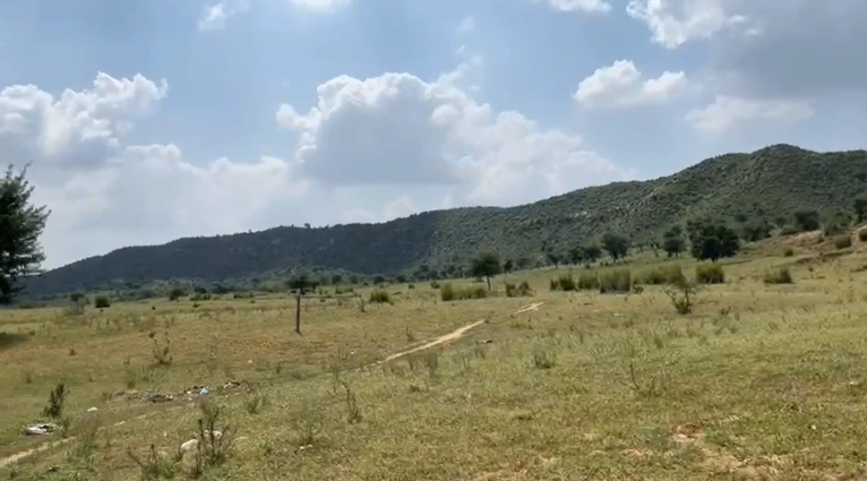 Sangawala, Rajasthan 303002, India