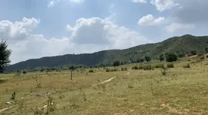 Sangawala, Rajasthan 303002, India preview 2