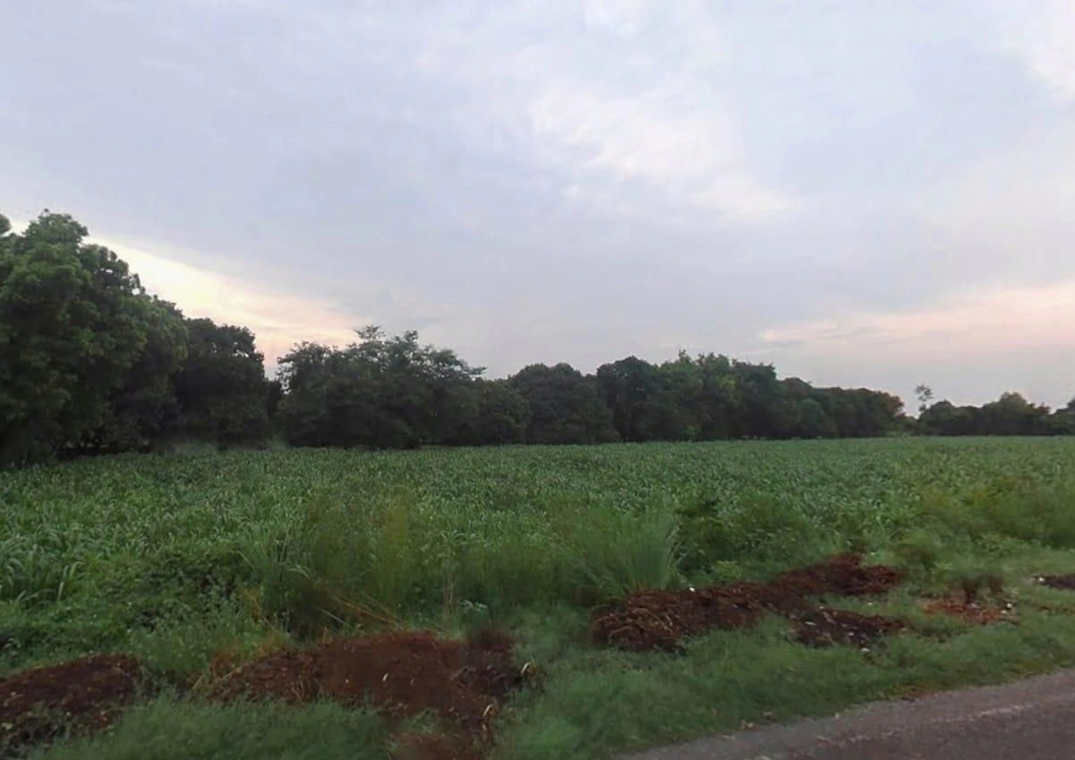 457W+GVM, Pandrawal, Uttar Pradesh 203397, India