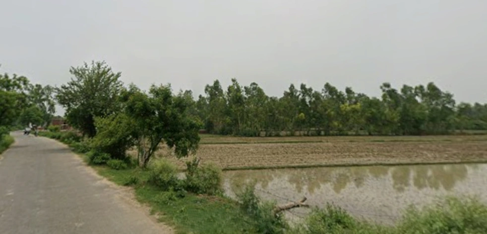 FM7W+4F9, Qidwai Naga, Muzaffarnagar, Uttar Pradesh 251001, India