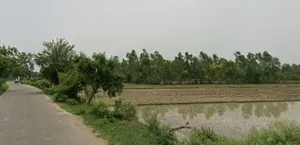 FM7W+4F9, Qidwai Naga, Muzaffarnagar, Uttar Pradesh 251001, India preview 3