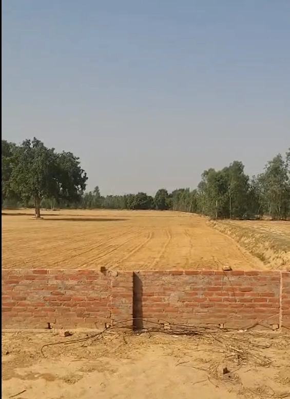 MQ77+P8R, NH 31, Dakshin Chak Maulani, Moulani, West Bengal 735302, India