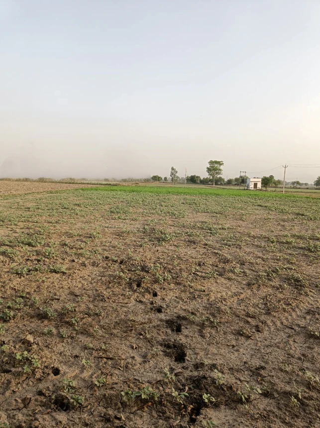 Sargoth, Rajasthan 332404, India