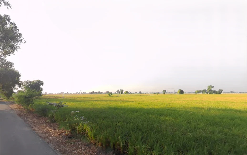 Kariwala, Haryana 125075, India