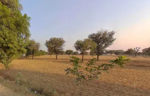 XMCP+843, Peethawas, Rajasthan, India preview 2