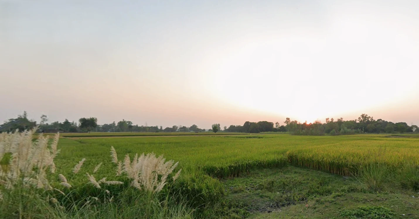 Nigohi, Uttar Pradesh 242407, India