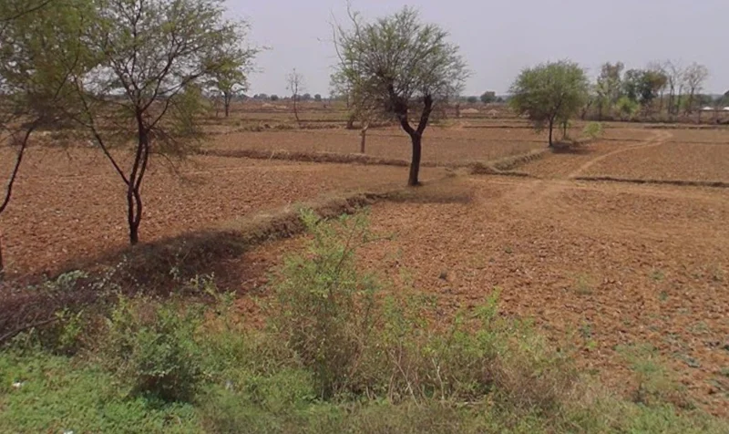 5MHM+RXJ, Khantri talab, Boria Kal, Raipur, Chhattisgarh 492015, India preview 2