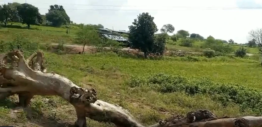 Saletikra, Jharsuguda, Odisha 768204, India