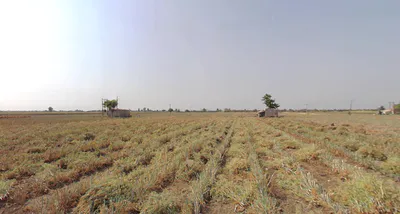 Panchgani, Maharashtra 412805, India preview 3