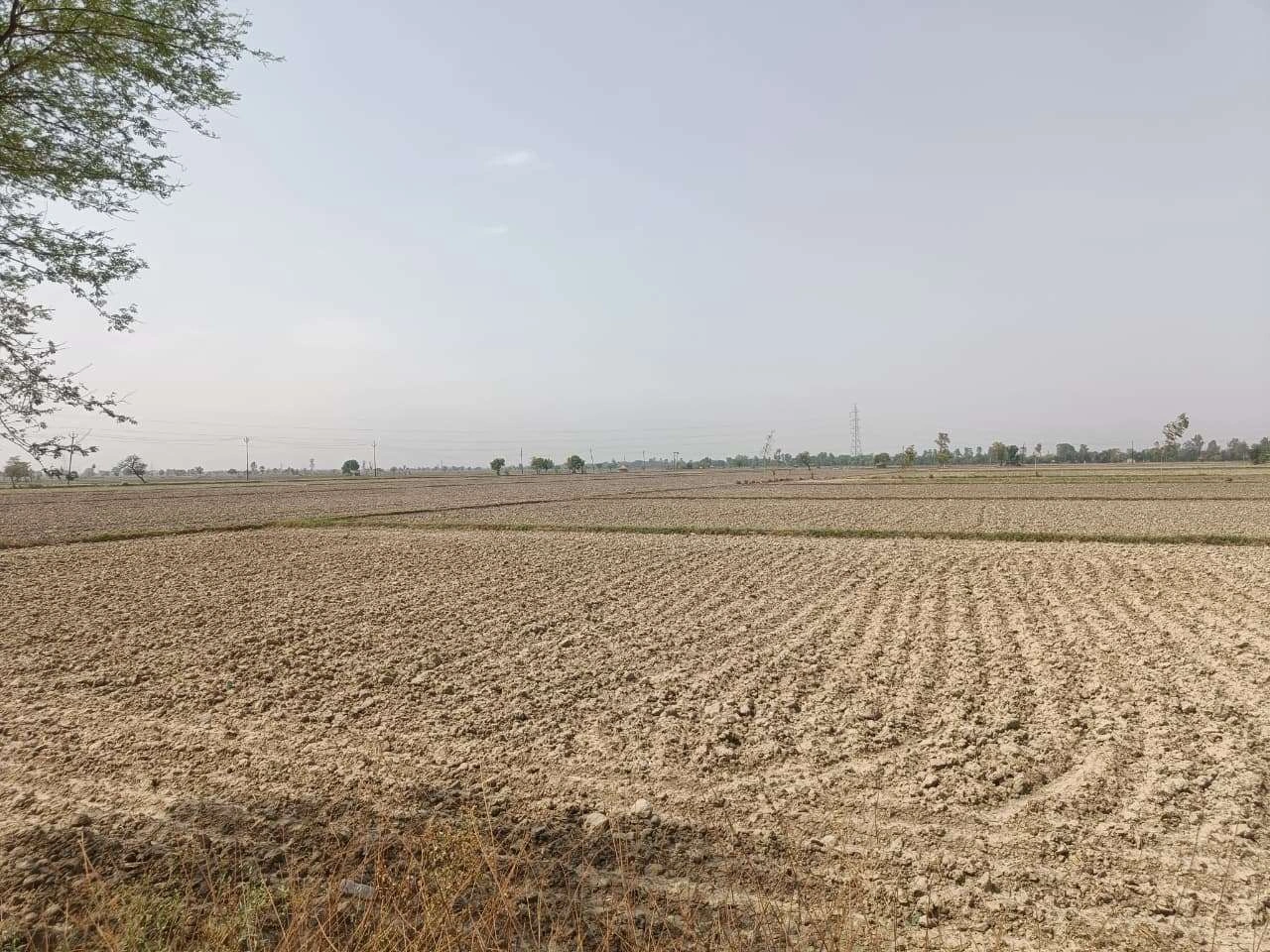 Aou, Rajasthan, India preview 3