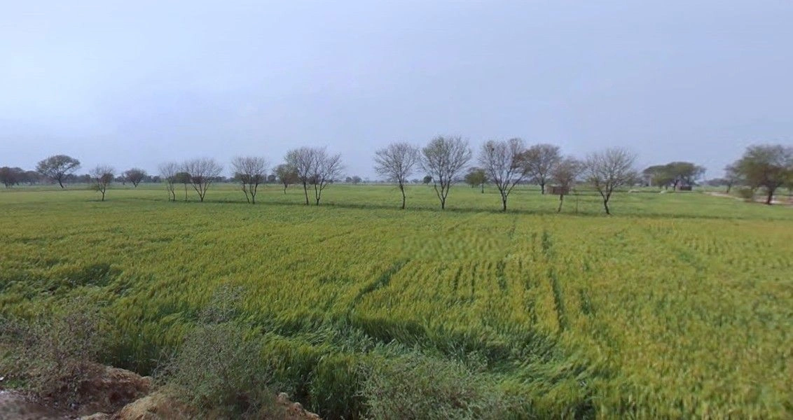 MM3R+6CM, Girawar School Rd, Gurawara, Haryana 124104, India preview 2