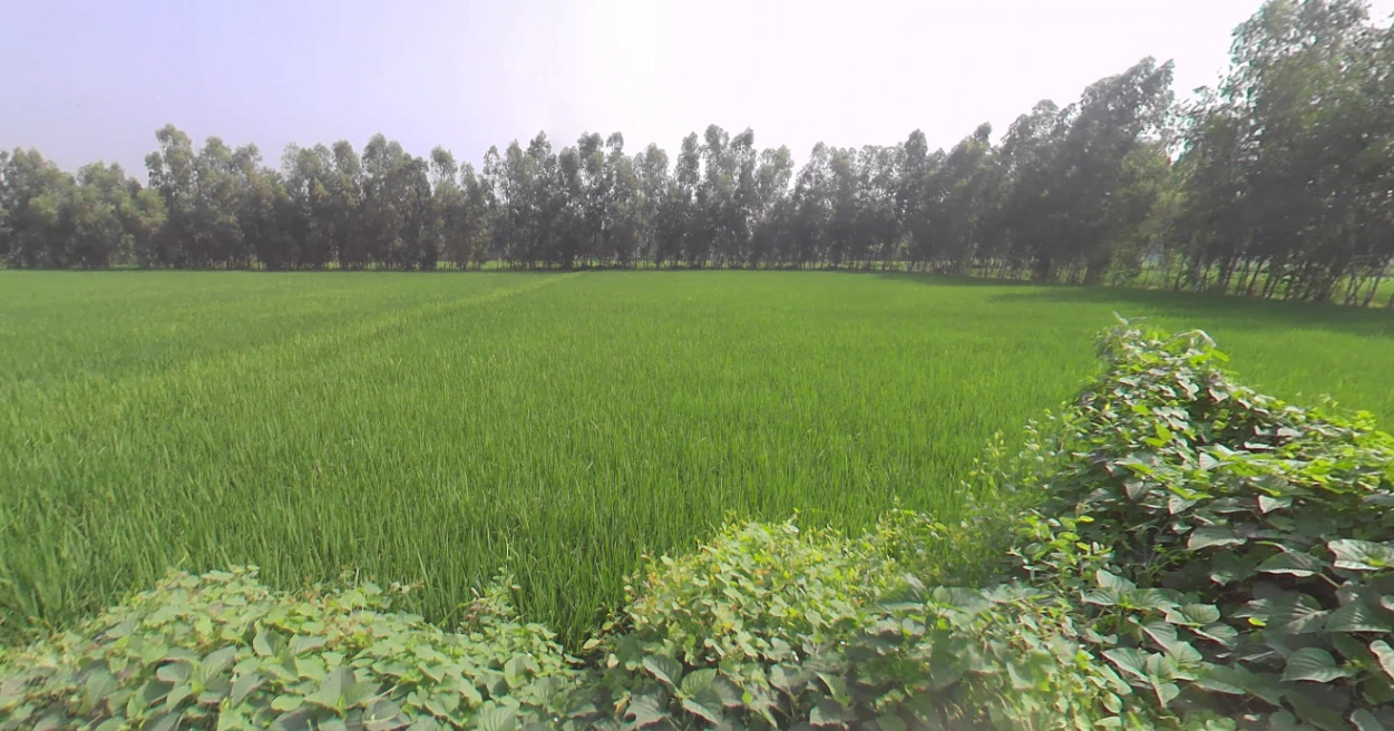 Rampur, Uttar Pradesh, India