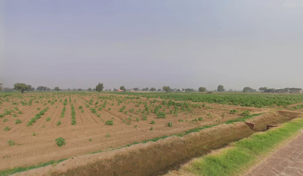 Khabran Kalan, Haryana 125053, India