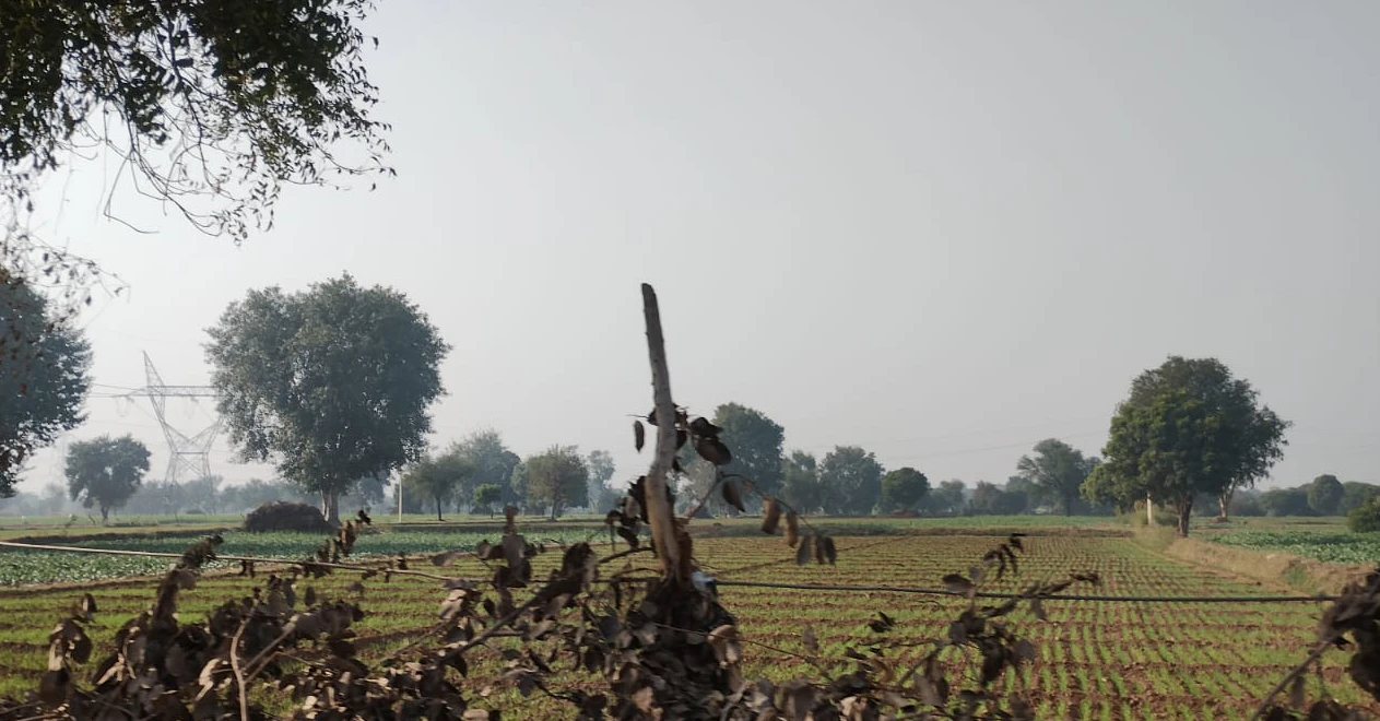 New Chandigarh, Punjab 140901, India