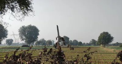 New Chandigarh, Punjab 140901, India preview 3