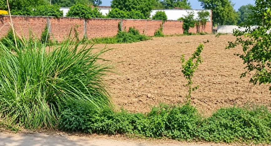 8J69+56Q, Tonk, Bor Khandi Kalan, Rajasthan, India