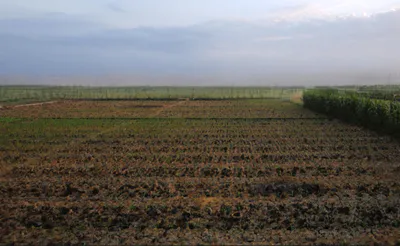 Bhainswal, Haryana 132104, India preview 3
