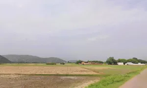 Khori Nuh, Haryana 122107, India preview 2