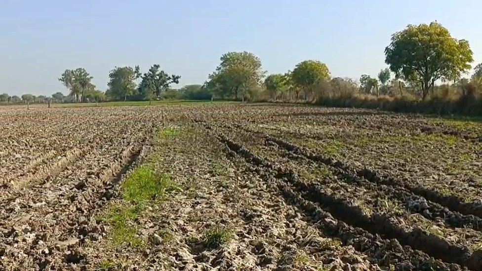 2M6W+98 Alipura, Rajasthan, India