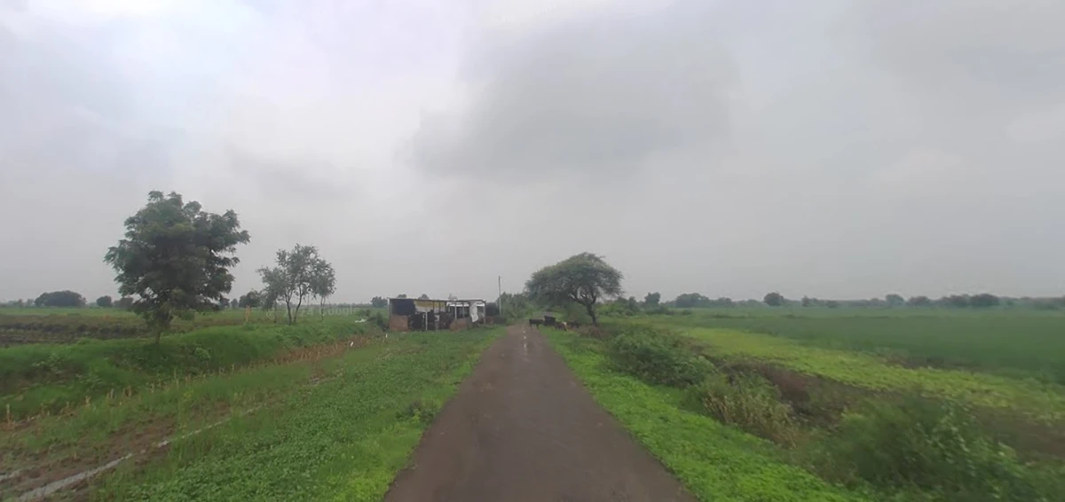 X6C6+2W Methi, Gujarat, India