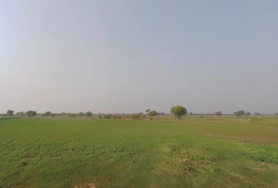 Dholpuriya, Rajasthan 305801, India