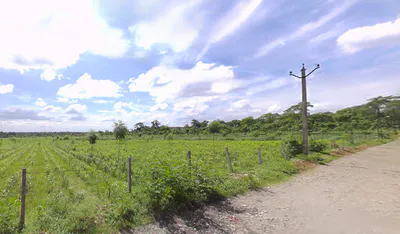 Mal Bazar, West Bengal 735221, India preview 3