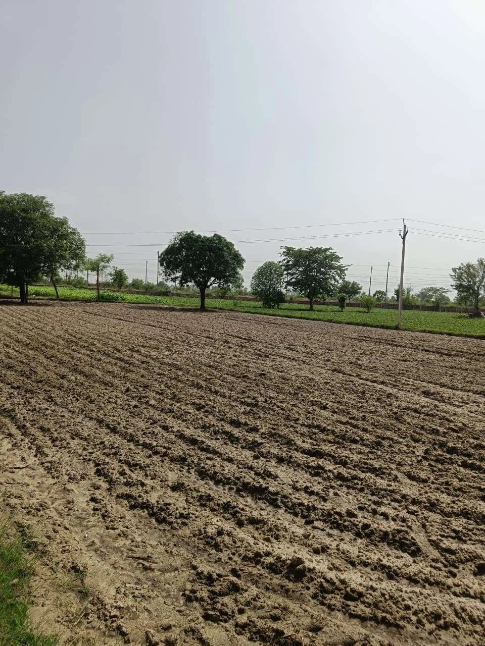 C27Q+83W, Umaran, Uttar Pradesh 229404, India preview 3