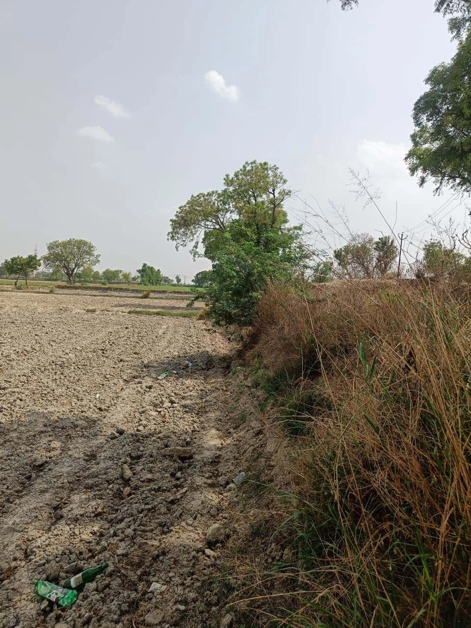 Gauhari, Uttar Pradesh 281401, India