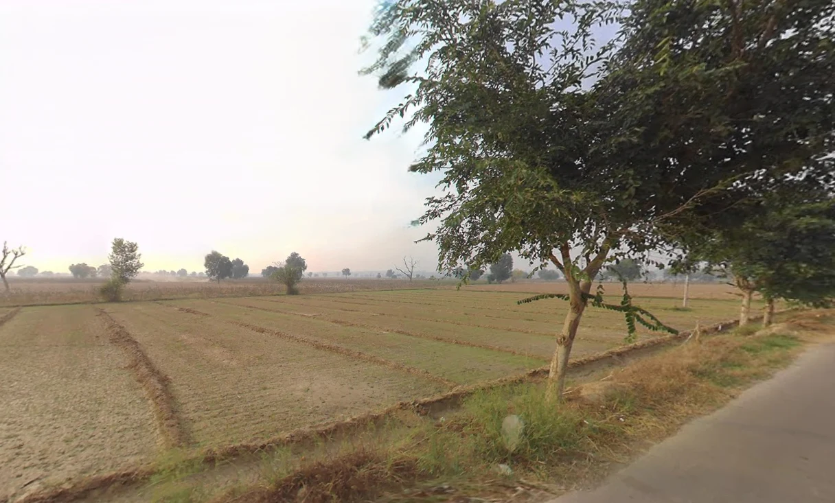 Bhattu Mandi, Haryana 125053, India