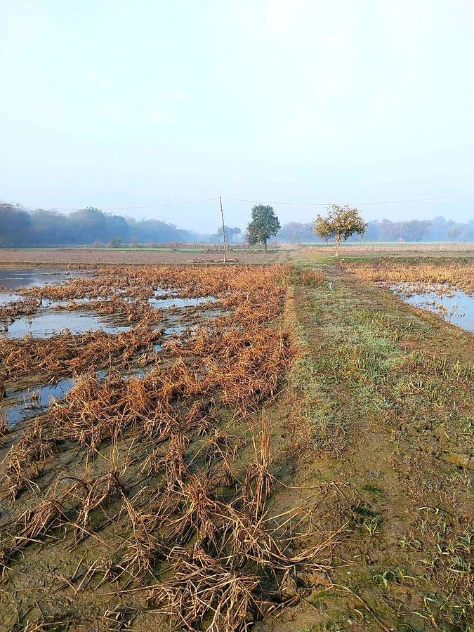 Issapur, Delhi, 110073, India