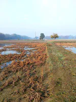 Issapur, Delhi, 110073, India preview 4