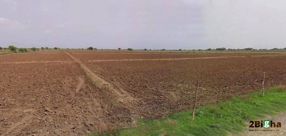 Jhajjar, Haryana 124103, India