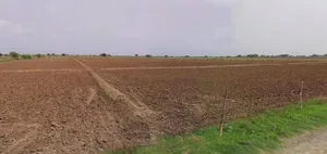Jhajjar, Haryana 124103, India preview 3