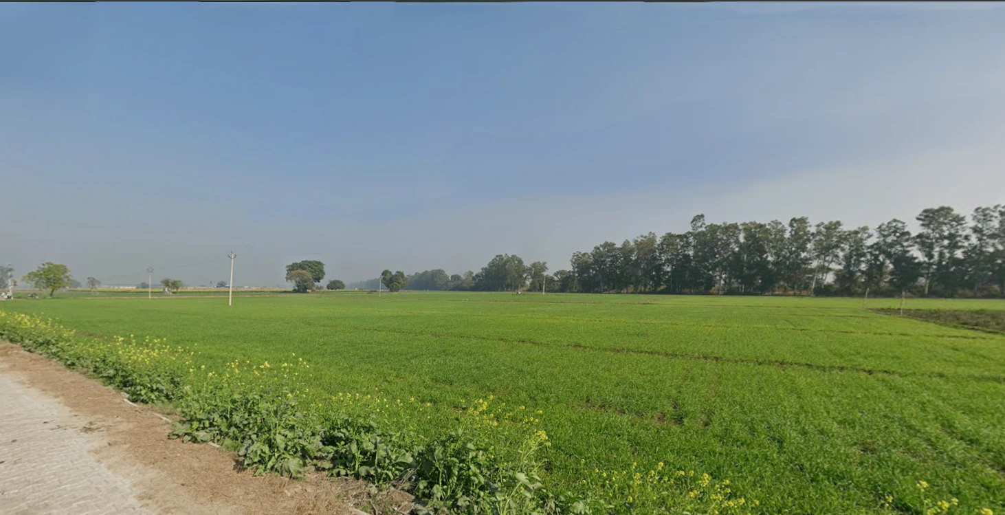 Puranpur, Uttar Pradesh 262122, India