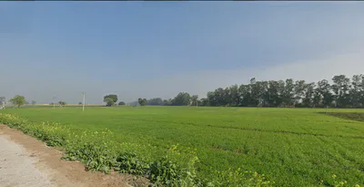 Puranpur, Uttar Pradesh 262122, India preview 3