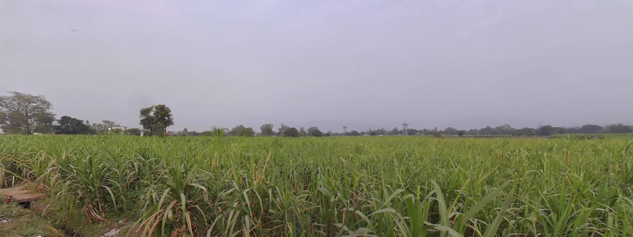 Vikasnagar, Uttarakhand, India preview 2