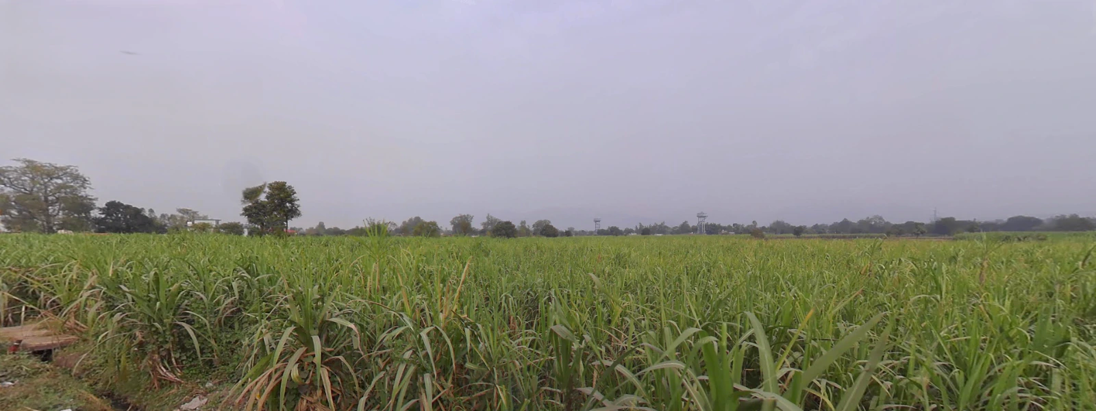 Vikasnagar, Uttarakhand, India