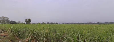 Vikasnagar, Uttarakhand, India preview 2