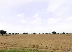 Tosham, Haryana 127040, India preview 2