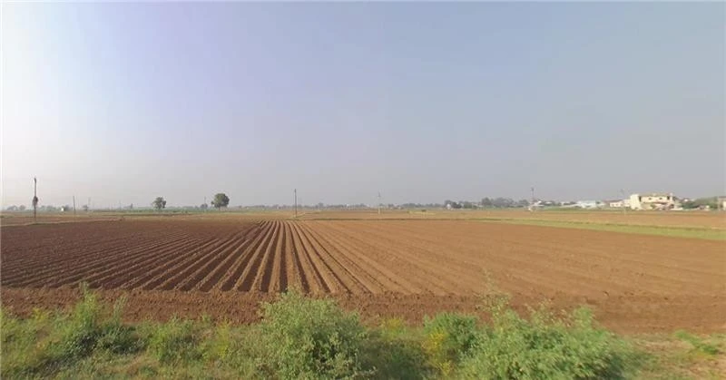 Goraiya, Gujarat, India