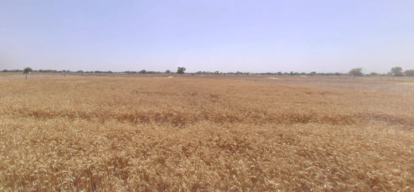 Hansalpur, Gujarat 382150, India