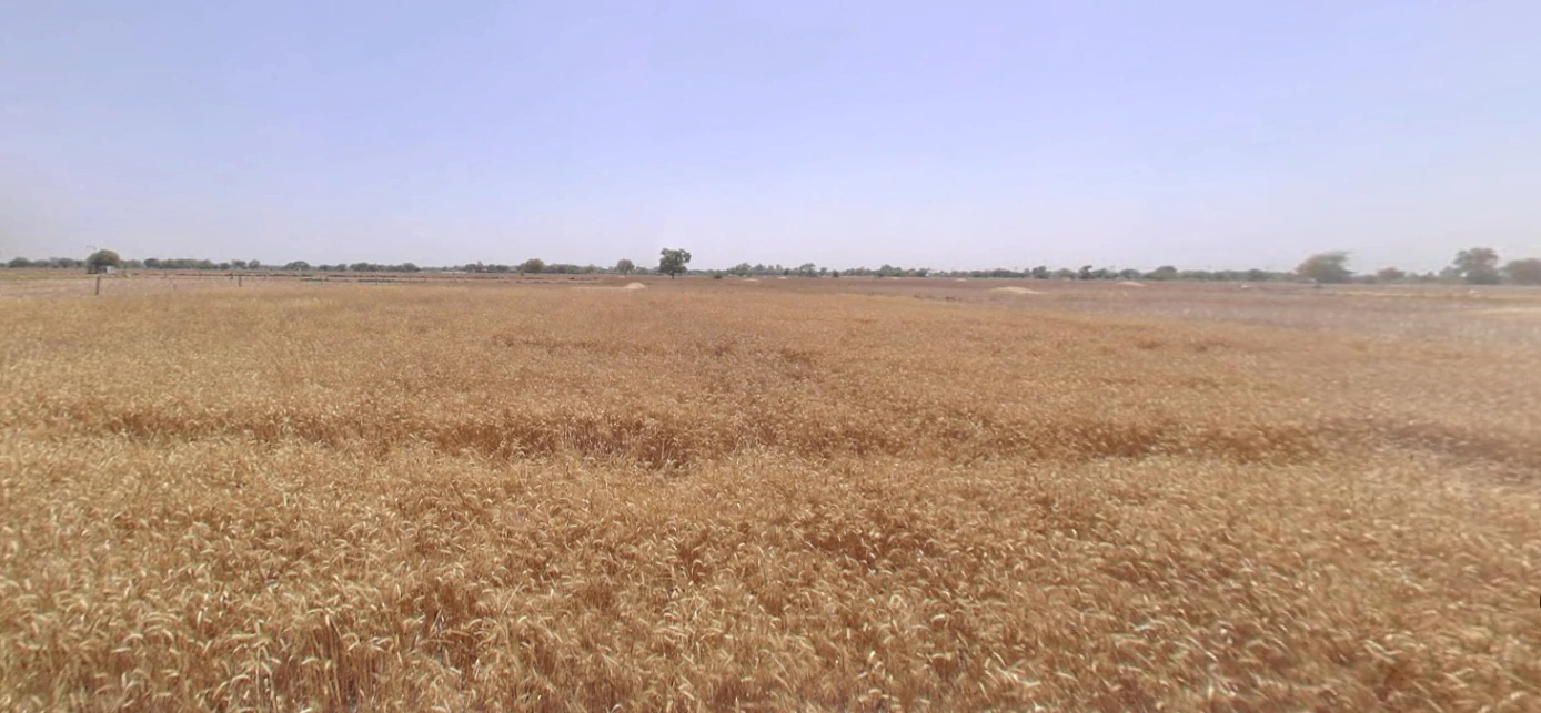 Hansalpur, Gujarat 382150, India