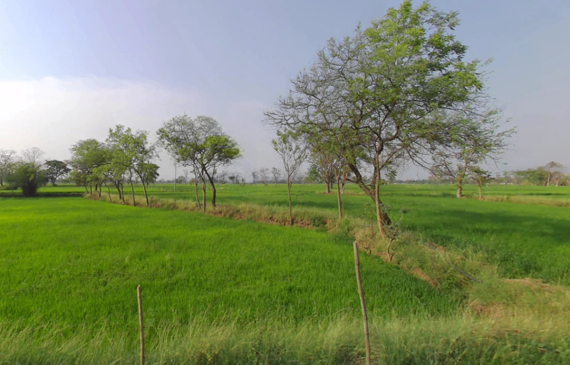 Odka, Chhattisgarh 493441, India