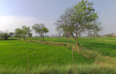 Odka, Chhattisgarh 493441, India preview 2